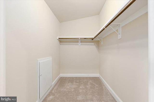 walk in closet with carpet flooring