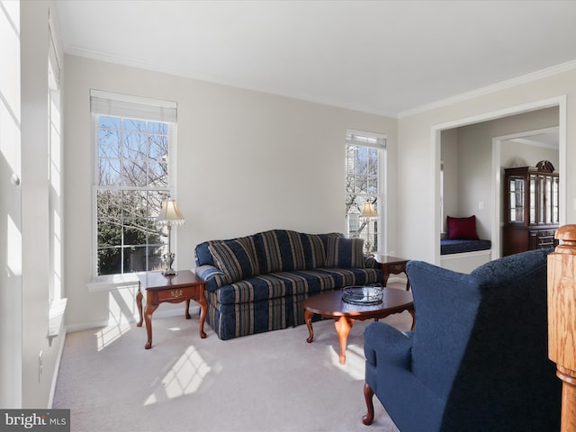 living room with carpet flooring and ornamental molding