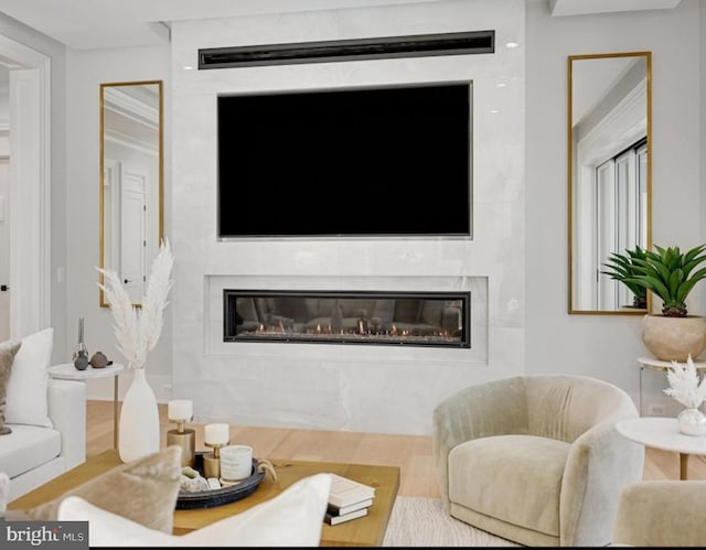 living area featuring a premium fireplace and wood finished floors