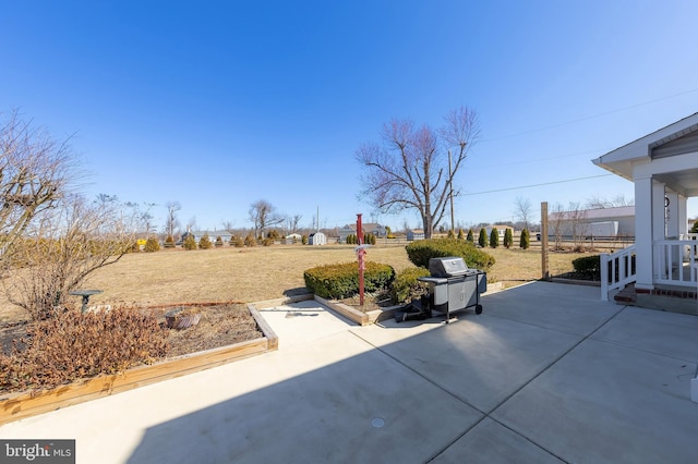 view of patio / terrace with area for grilling