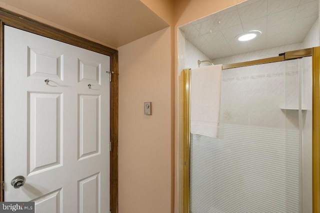 bathroom featuring a shower stall