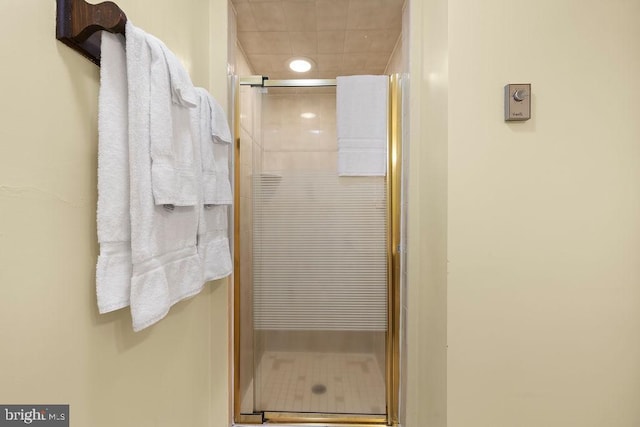 bathroom featuring a shower stall