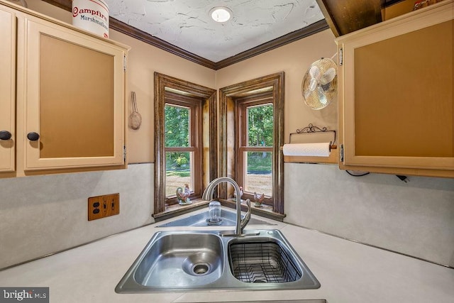 kitchen with crown molding, light countertops, and a sink