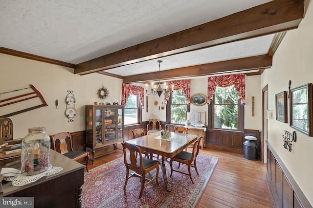 dining area featuring beam ceiling, a wainscoted wall, a textured ceiling, and light wood finished floors