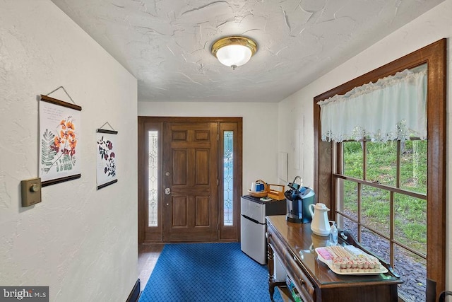 entrance foyer featuring a healthy amount of sunlight, a textured wall, and a textured ceiling