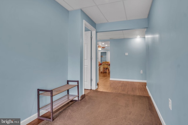 hall with carpet floors, baseboards, and a drop ceiling