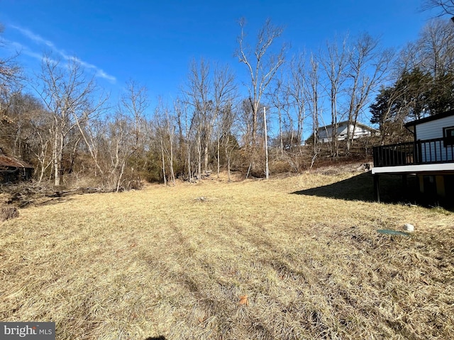 view of yard with a wooden deck