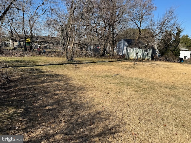 view of yard with an outdoor structure and a storage shed