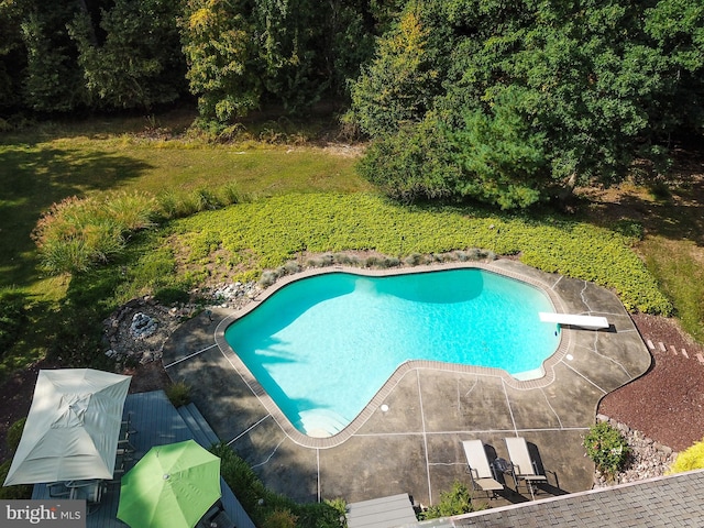 outdoor pool featuring a diving board and a patio