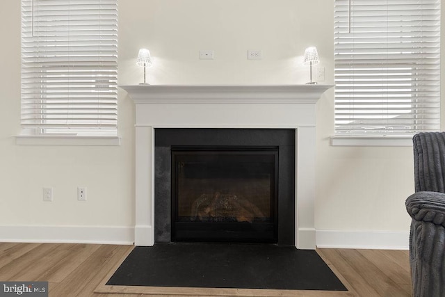 room details featuring a fireplace with flush hearth, baseboards, and wood finished floors