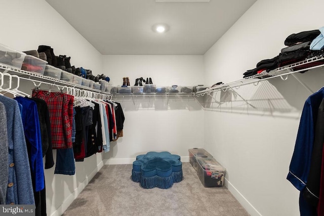 spacious closet featuring carpet floors