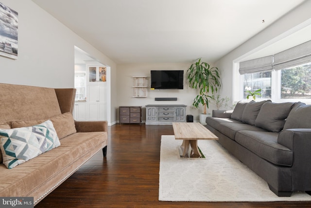 living area featuring wood finished floors