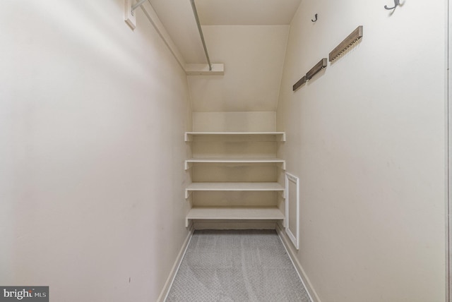 spacious closet featuring carpet floors