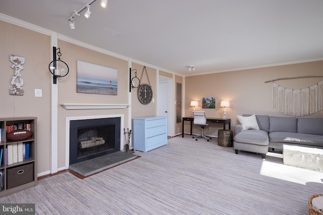 carpeted living area featuring track lighting, a fireplace with raised hearth, baseboards, and ornamental molding