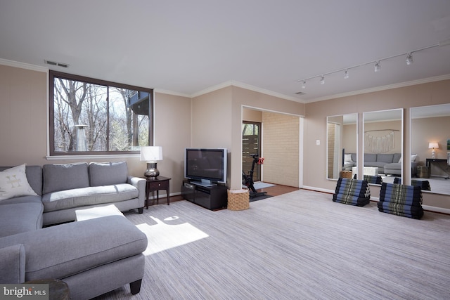 carpeted living area featuring a healthy amount of sunlight and ornamental molding