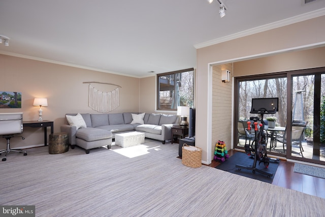 living room featuring visible vents, a healthy amount of sunlight, track lighting, and crown molding