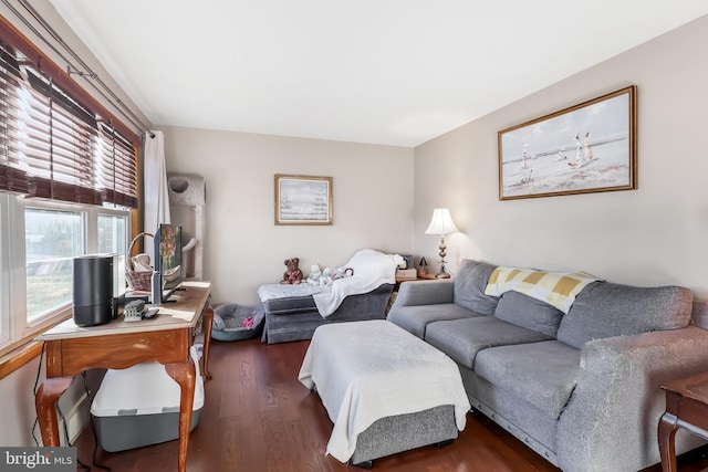 living room with dark wood-style flooring