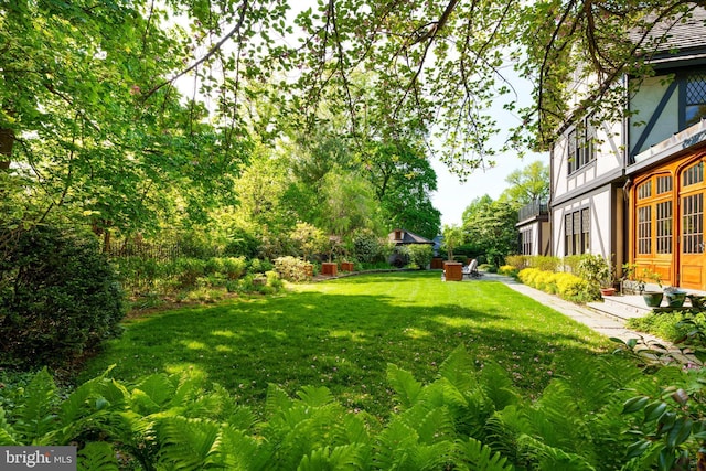 82 Library Pl, Princeton, NJ 08540 - view of grassy yard