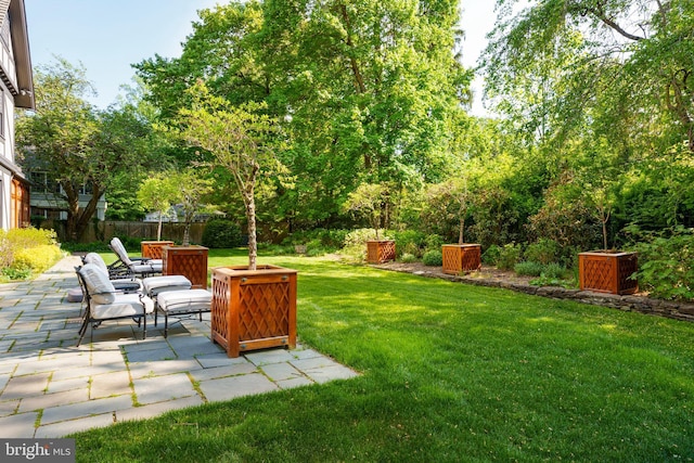 82 Library Pl, Princeton, NJ 08540 - view of grassy yard with a patio