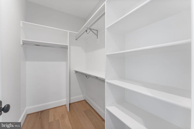 spacious closet featuring light wood-style flooring