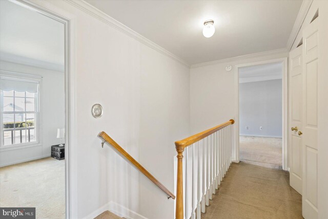 corridor featuring baseboards, an upstairs landing, light colored carpet, and ornamental molding