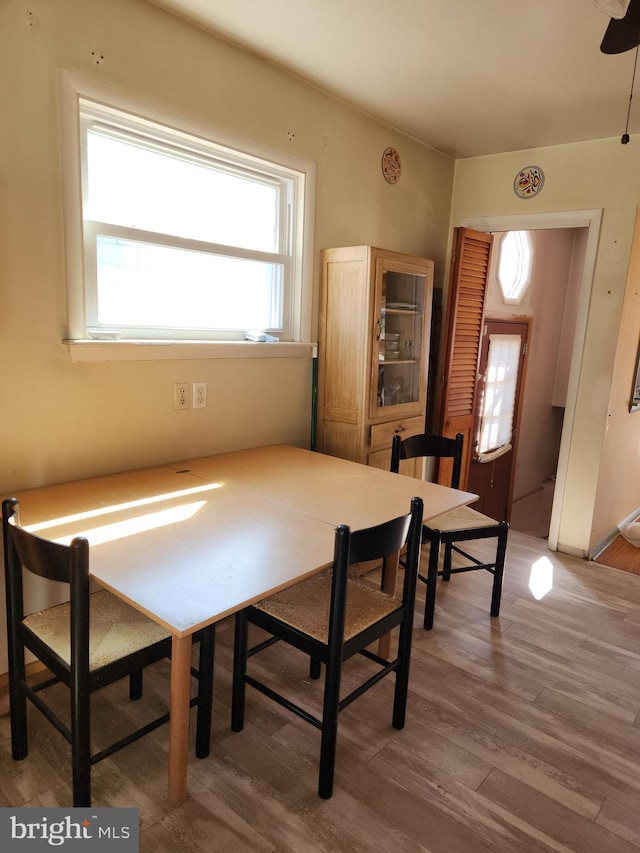 dining room featuring wood finished floors