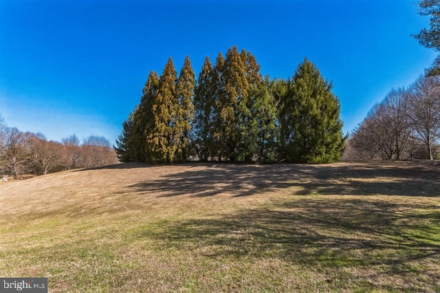 view of grassy yard