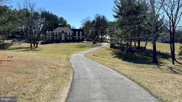 view of street with driveway