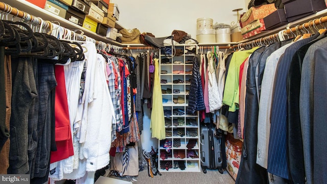 walk in closet featuring carpet