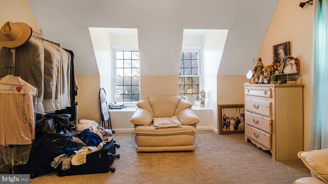 living area with carpet