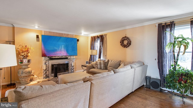 living area with a glass covered fireplace, wood finished floors, and ornamental molding