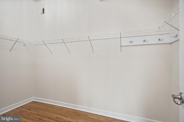 spacious closet featuring wood finished floors