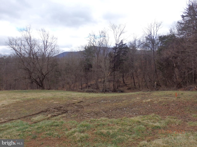 property view of mountains with a view of trees