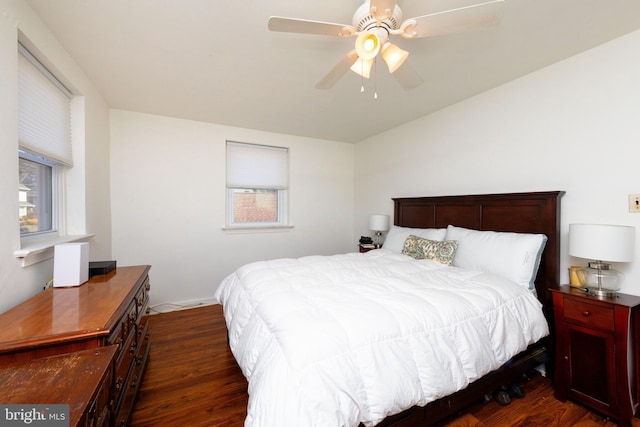 bedroom with dark wood-type flooring, multiple windows, and a ceiling fan