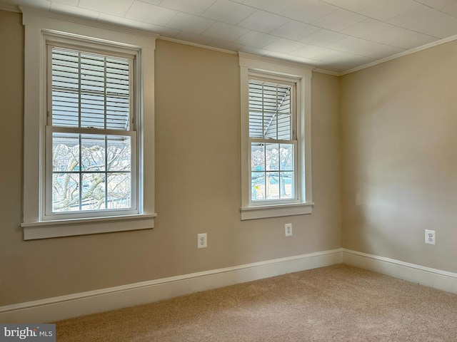 spare room with a healthy amount of sunlight, crown molding, baseboards, and carpet flooring