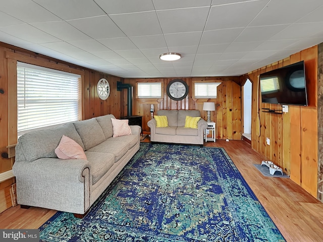 living area with wooden walls and wood finished floors