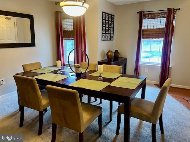 dining space featuring baseboards and carpet floors