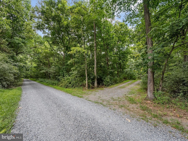 LOT4 Rock Hall Farm Ln, Berryville VA, 22611 land for sale