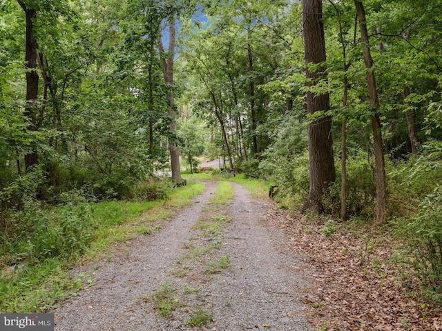 Listing photo 2 for LOT4 Rock Hall Farm Ln, Berryville VA 22611