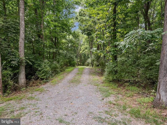 Listing photo 3 for LOT4 Rock Hall Farm Ln, Berryville VA 22611