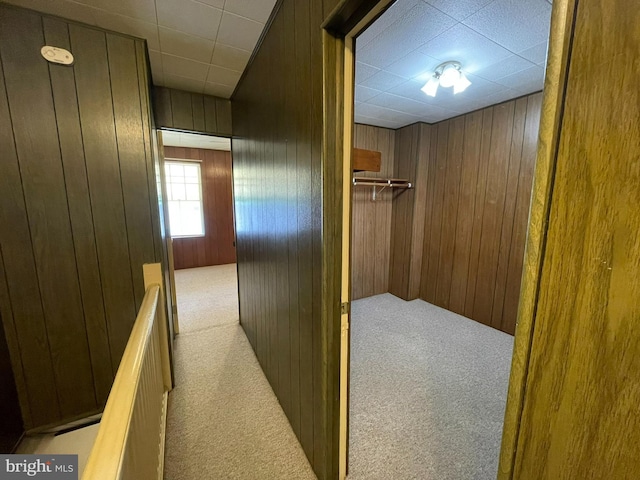 corridor with carpet floors and wood walls