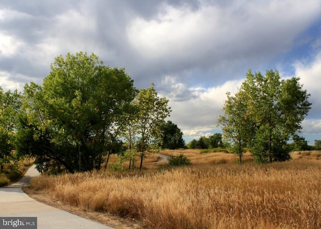 view of landscape