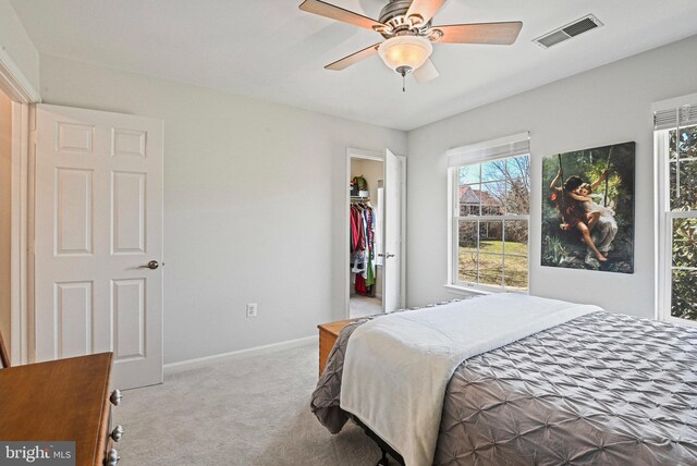 bedroom featuring a ceiling fan, baseboards, visible vents, carpet floors, and a walk in closet