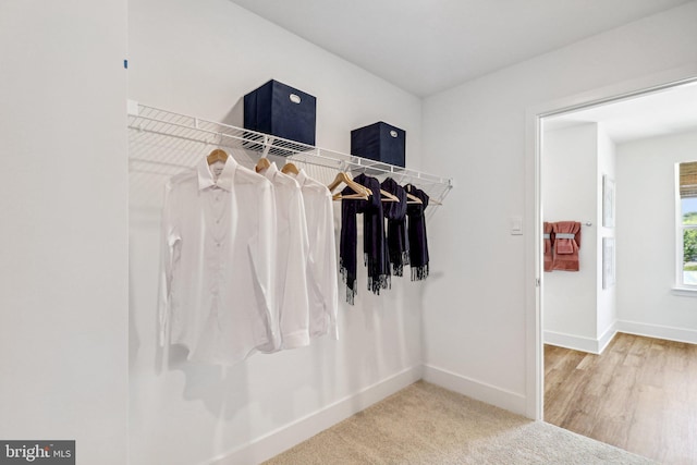 view of spacious closet