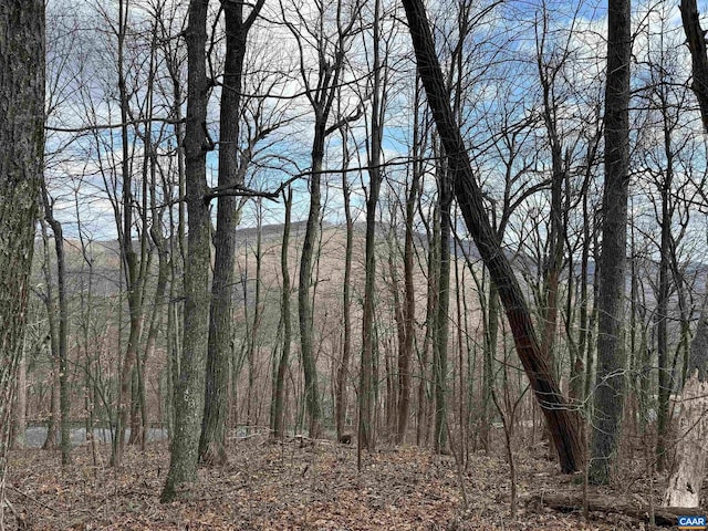 122 Hanging Rock Ln, Wintergreen Resort VA, 22967 land for sale