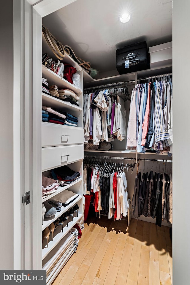 spacious closet featuring hardwood / wood-style floors