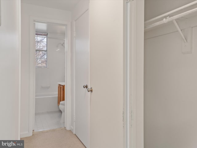 hallway with carpet flooring