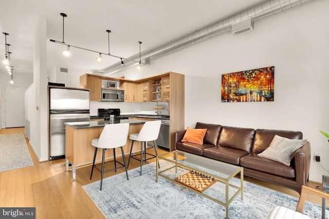 living area featuring light wood-style flooring and track lighting