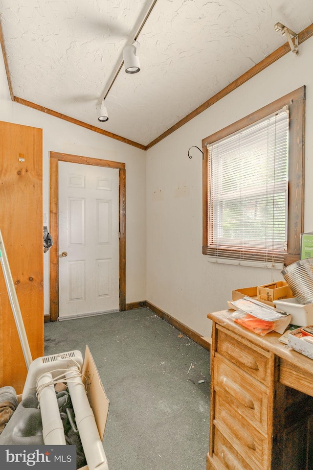 interior space with carpet floors, crown molding, rail lighting, a textured ceiling, and baseboards