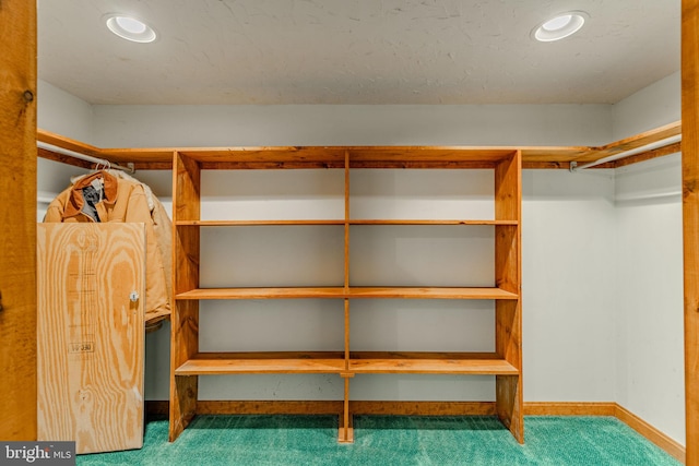 spacious closet with carpet floors